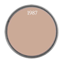 Load image into Gallery viewer, Wise Owl  paint lid in colour 1987
