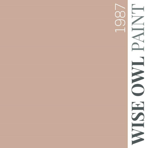 Wise Owl Paint in colour 1987