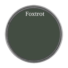 Load image into Gallery viewer, Wise Owl Paint Lid in colour Foxtrot
