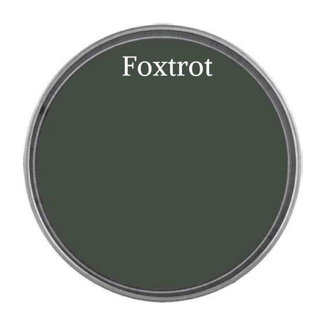 Wise Owl Paint Lid in colour Foxtrot