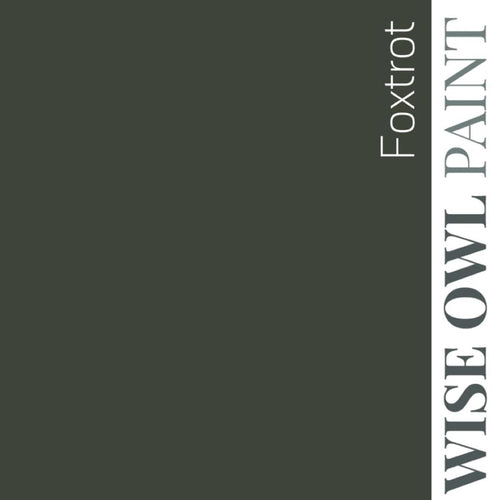 Wise Owl Paint in colour Foxtrot