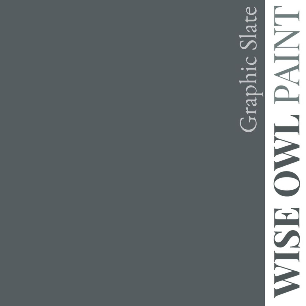 Wise Owl Paint in colour Graphic Slate