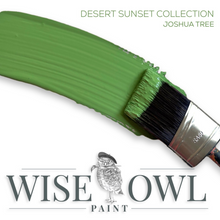 Load image into Gallery viewer, Wise Owl Chalk Paint Brushstroke in colour Joshua Tree
