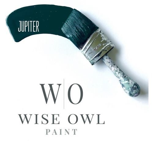 Wise Owl Swoosh in colour Jupiter