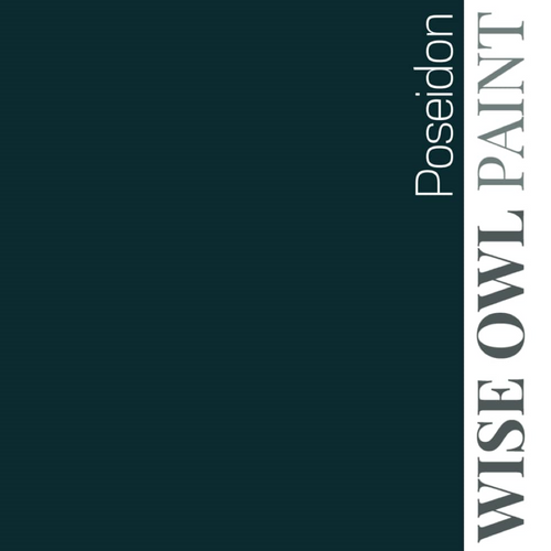 Wise Owl Paint in colour Poseidon