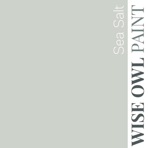 Wise Owl Paint in colour Sea Salt