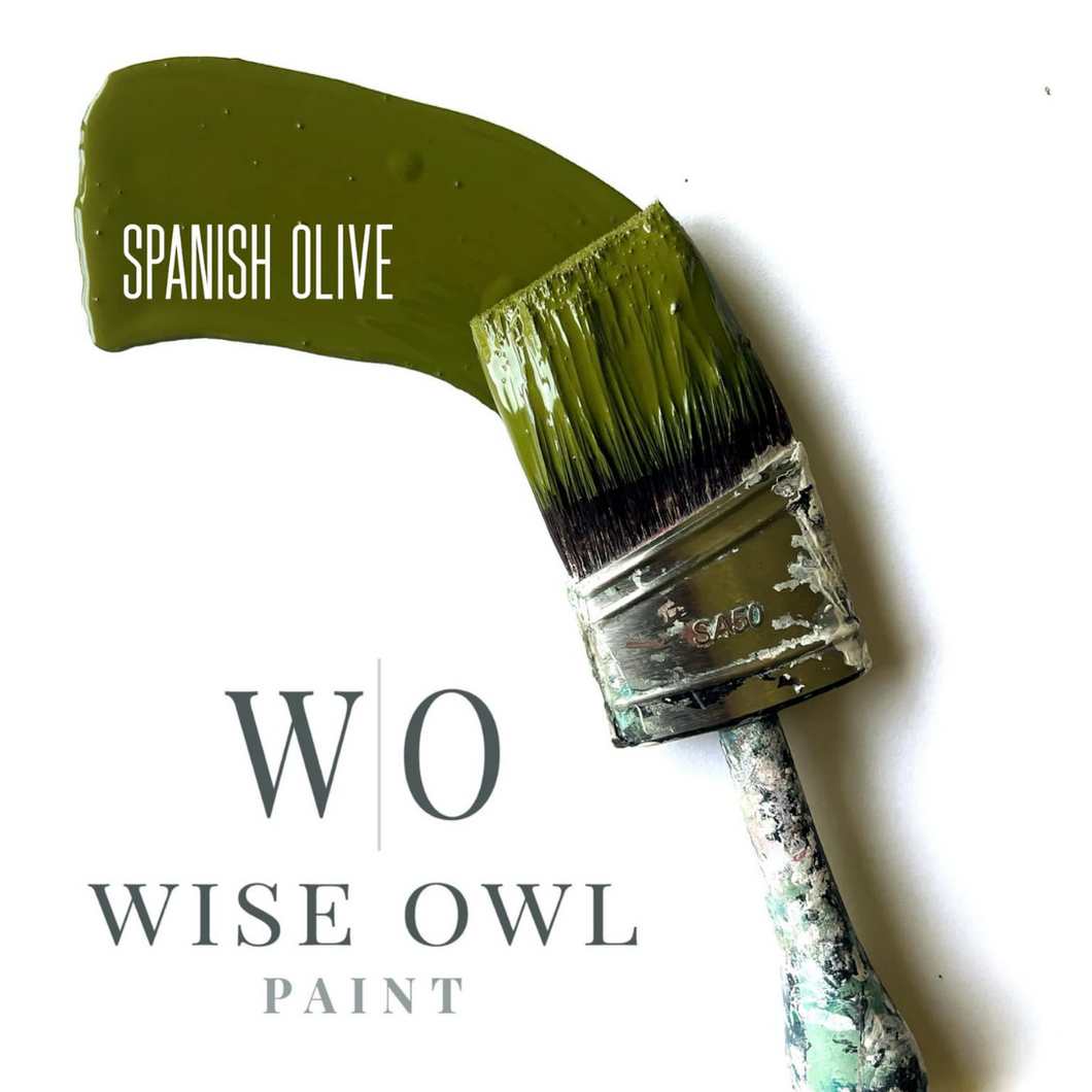 Wise Owl Paint Brushstroke in colour Spanish Olive