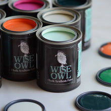 Load image into Gallery viewer, Wise Owl Chalk Paint Tins
