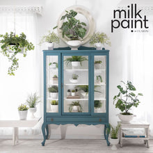 Load image into Gallery viewer, Milk Paint by Fusion Terrarium 330g
